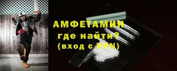 ECSTASY Бородино