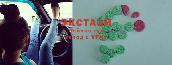 ECSTASY Богородицк